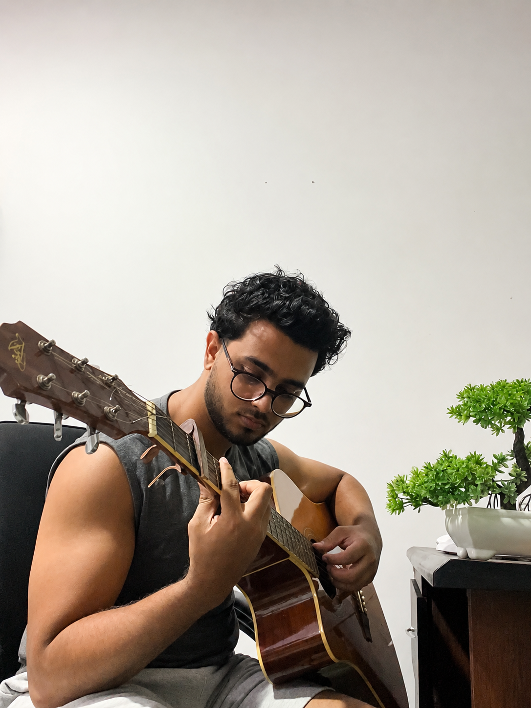 Fingerstyle Guitar